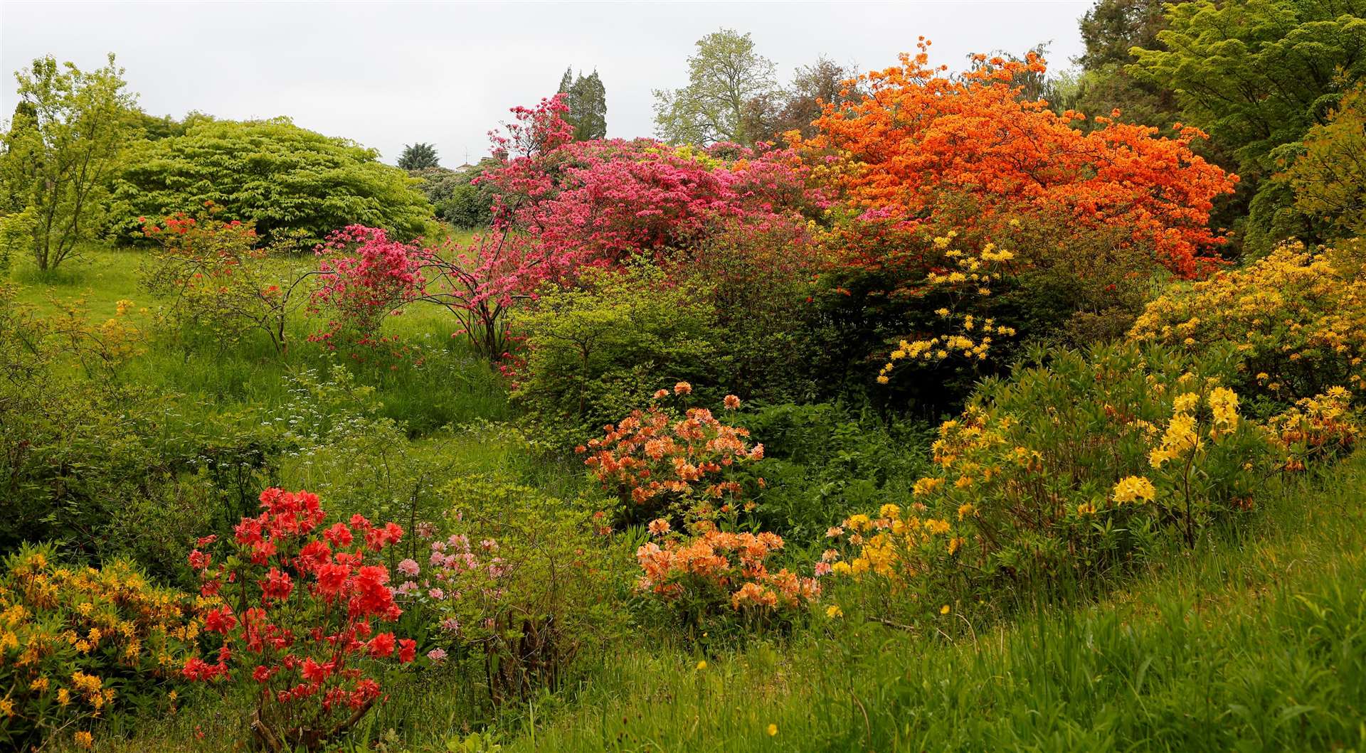 Hole Park in Rolveden stays bright and colourful all year round. Picture: Andy Jones.