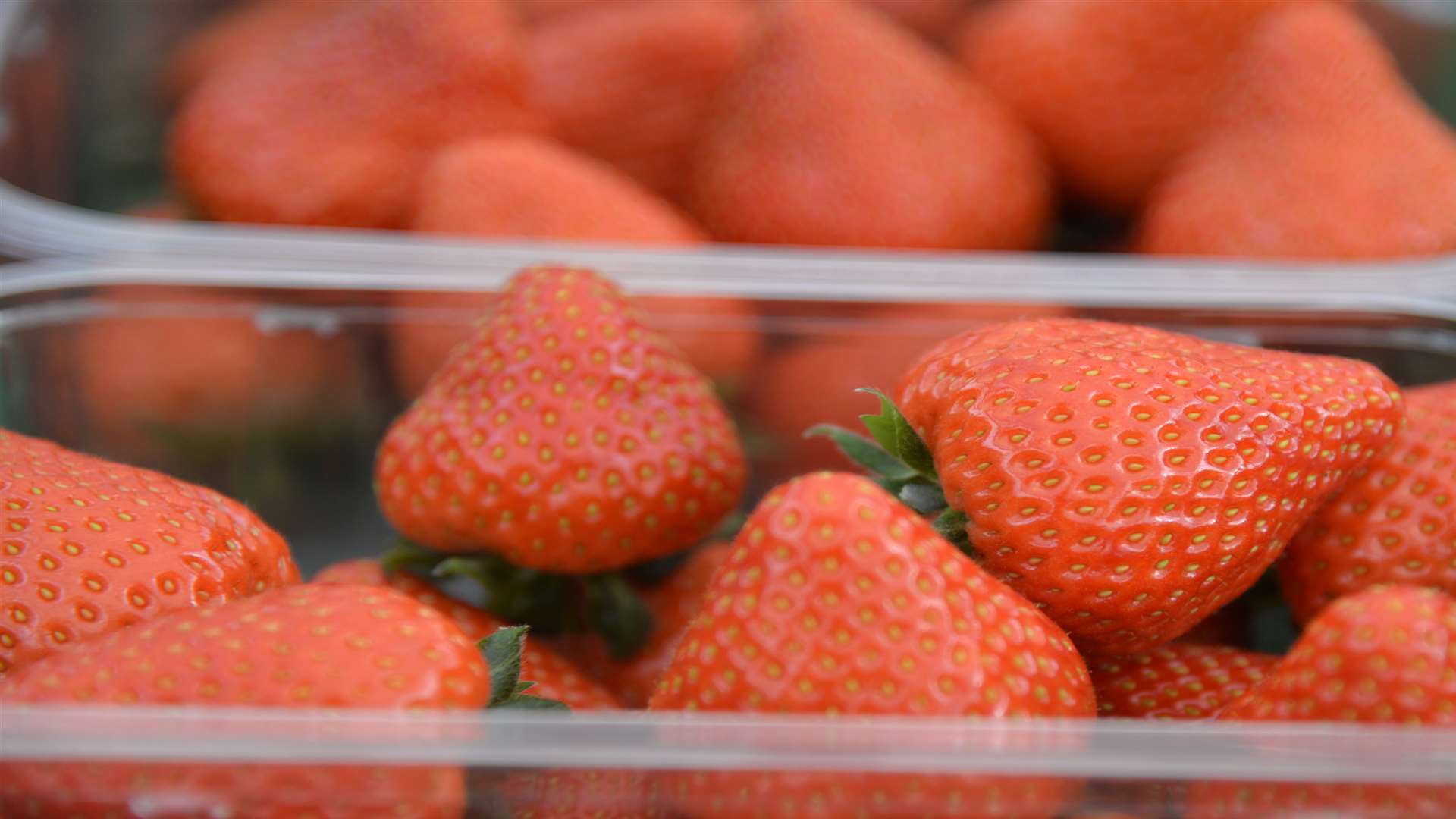 The first berries are on sale at Faversham's Tesco store. Picture: Ruth Cuerden