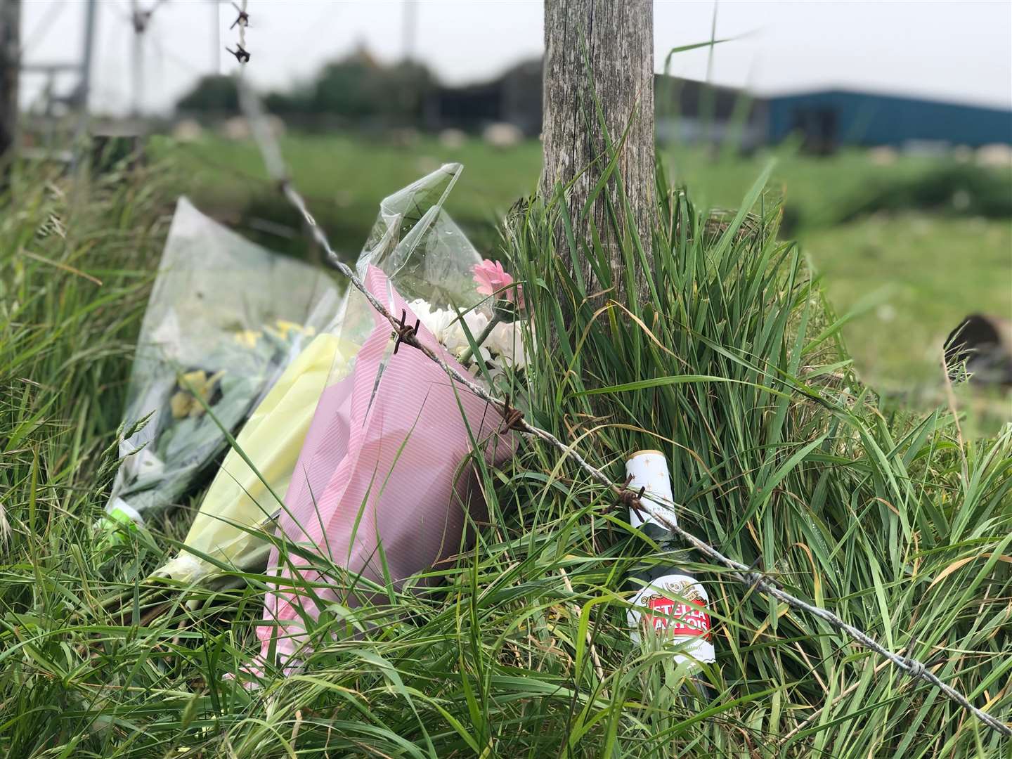 A Stella Artois bottle has been left at the crash scene as a tribute. Picture: Molly Mileham-Chappell (10723272)