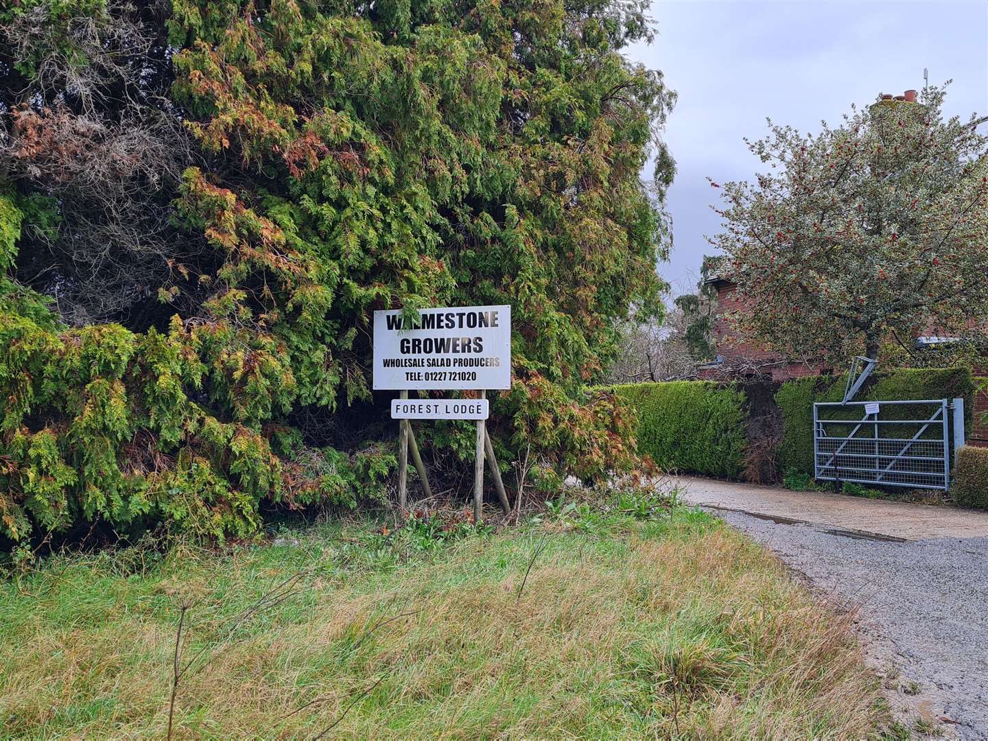 Walmestone Growers at Preston near Wingham