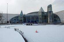 Frozen Lake at Bluewater