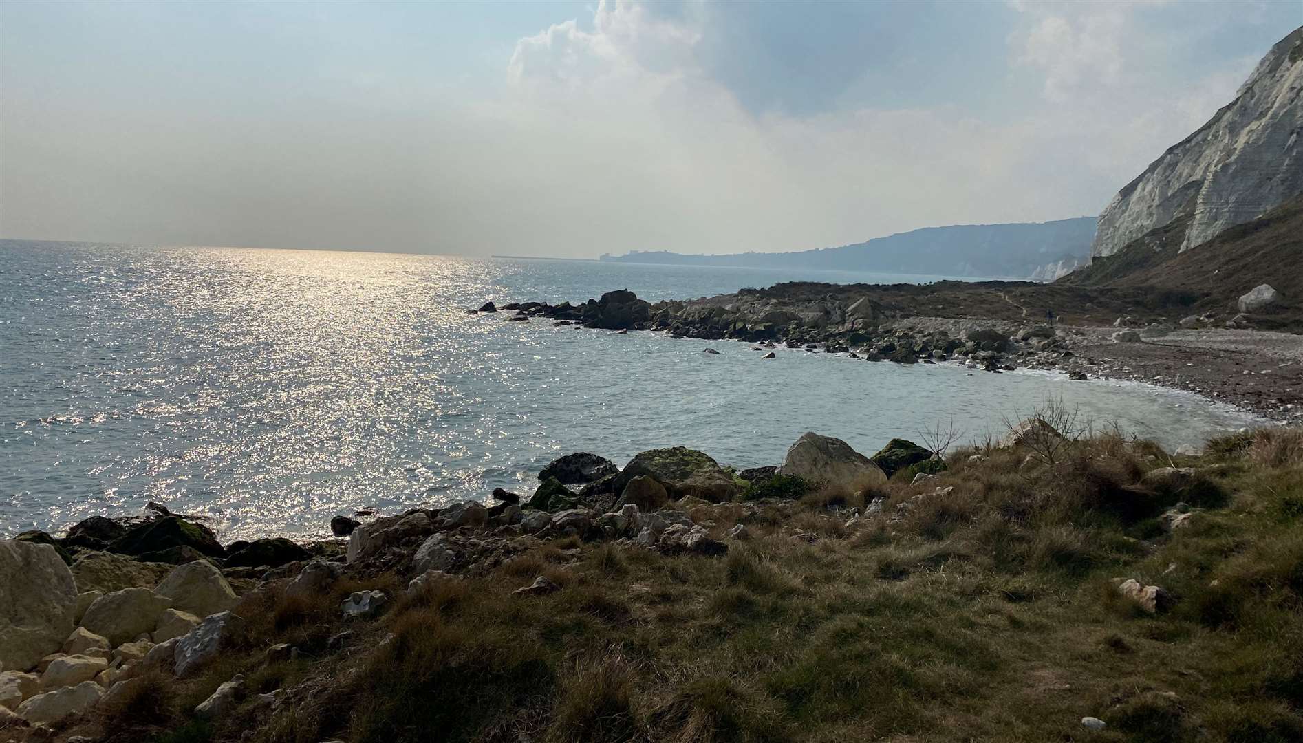 The waterfront park at Samphire Hoe is a hub for local wildlife. Picture: KM Reporter