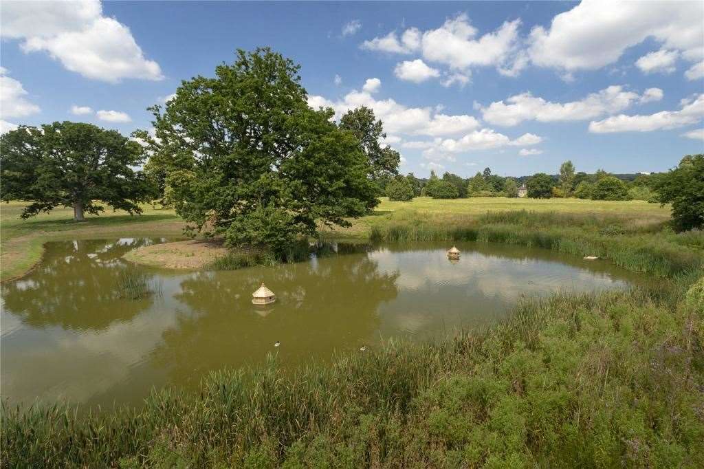 Take a walk through your own woodland estate. Picture: Strutt and Parker