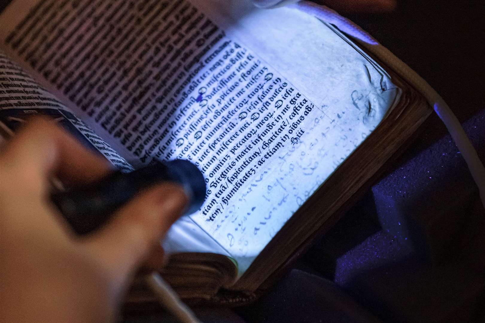 Former Hever Castle steward Kate McCaffrey shows the hidden wording under UV light Picture: Hever Castle & Gardens