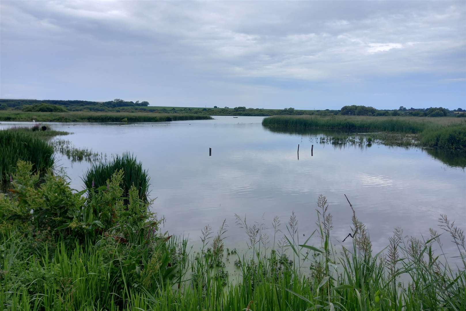 The Stodmarsh Nature Reserve which is suffering from nitrates and phosphates caused by waste water