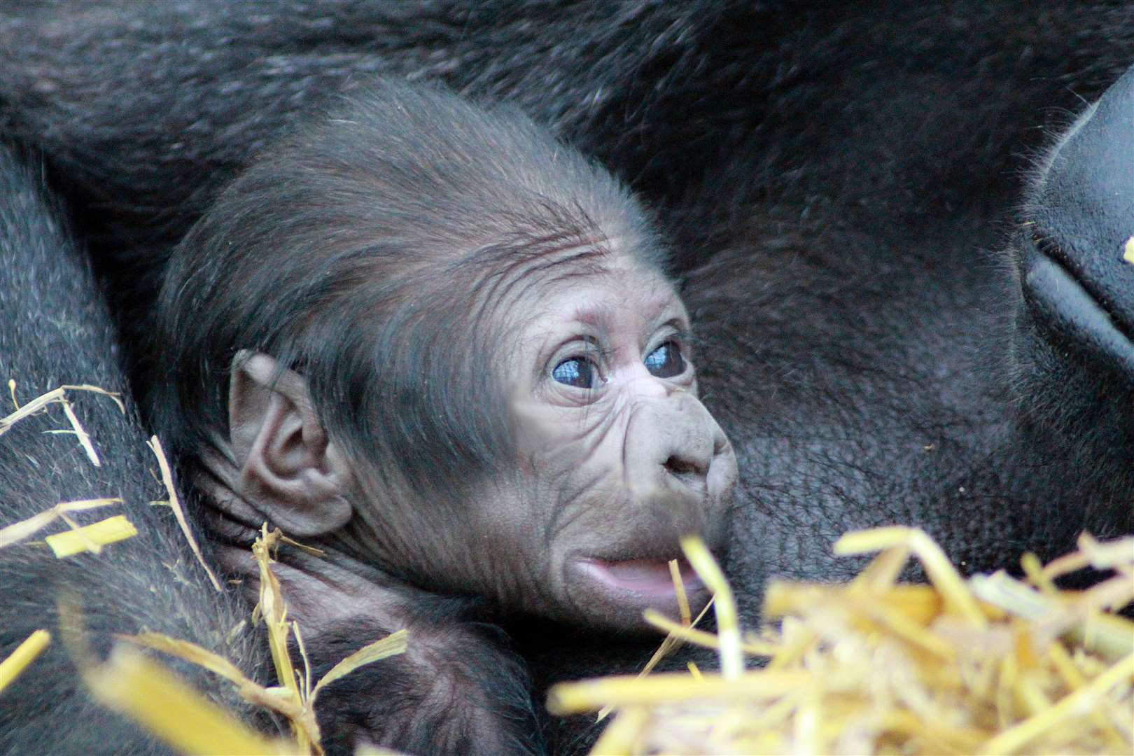 So cute! Photo: Leanne Smith