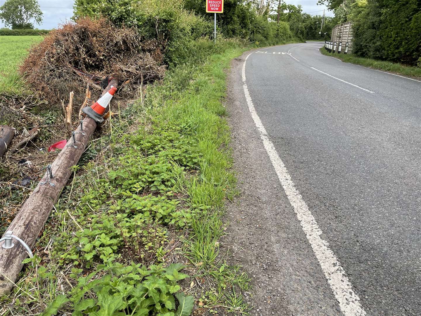 The telegraph pole was felled in a crash along Ashford Road