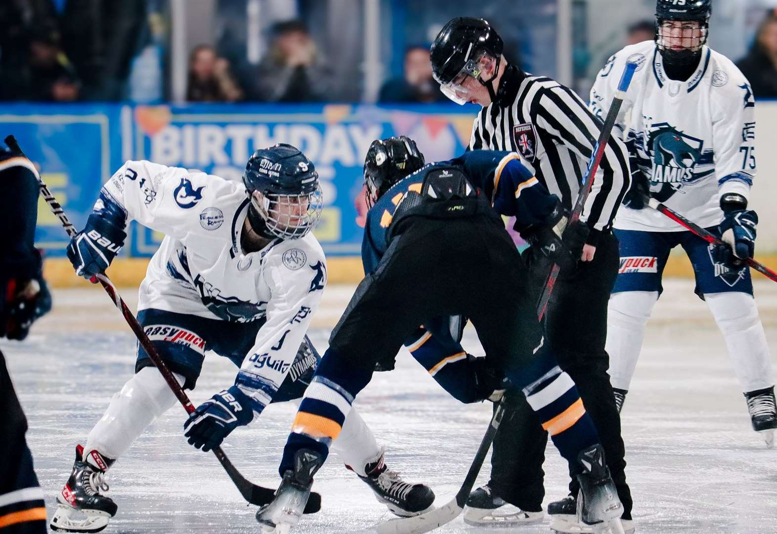 Cameron Pywell faces off for Invicta Dynamos against Romford Buccaneers Picture: Jessica Dewey