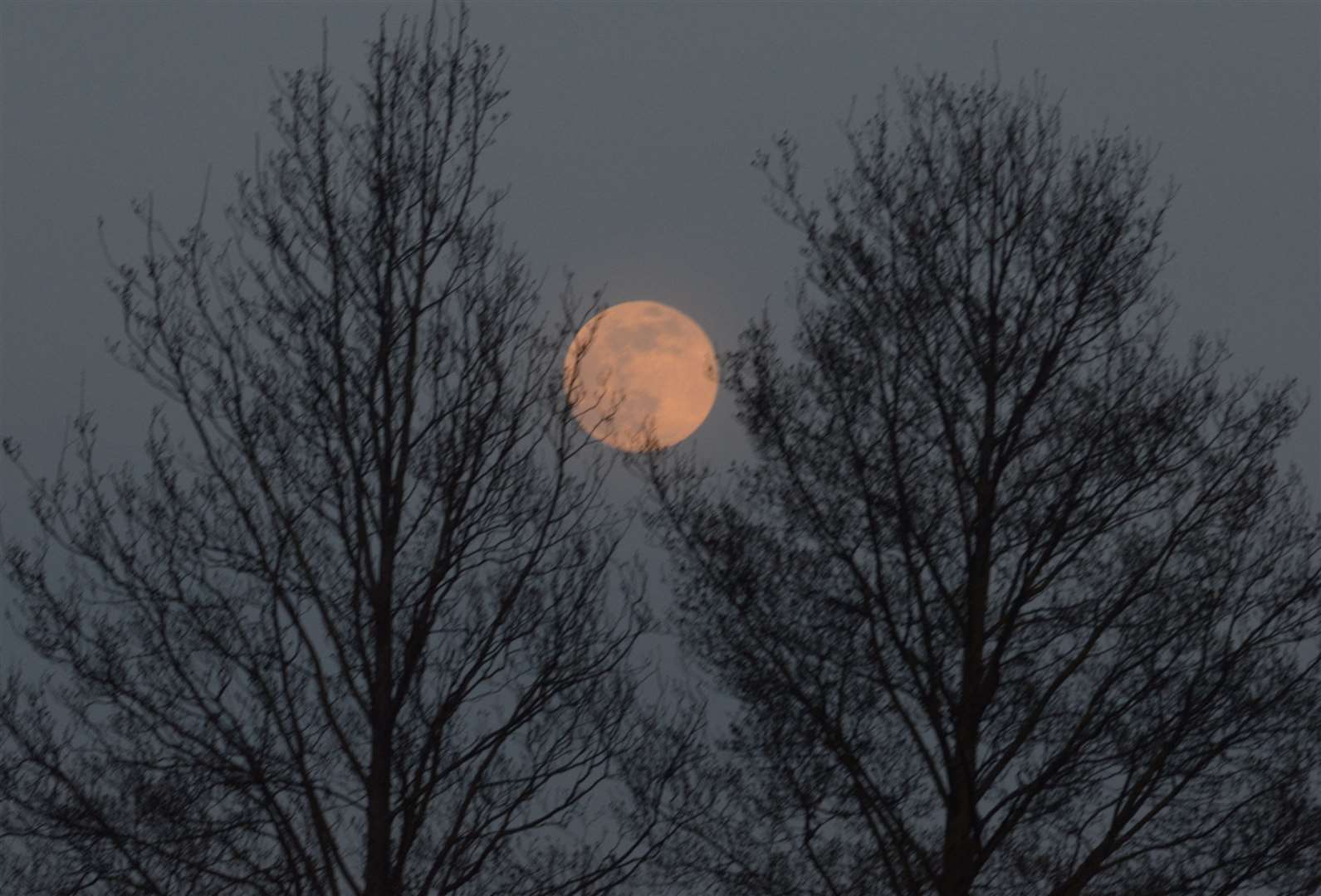 Skygazers are gearing up for another year of events. Image: Stock photo.