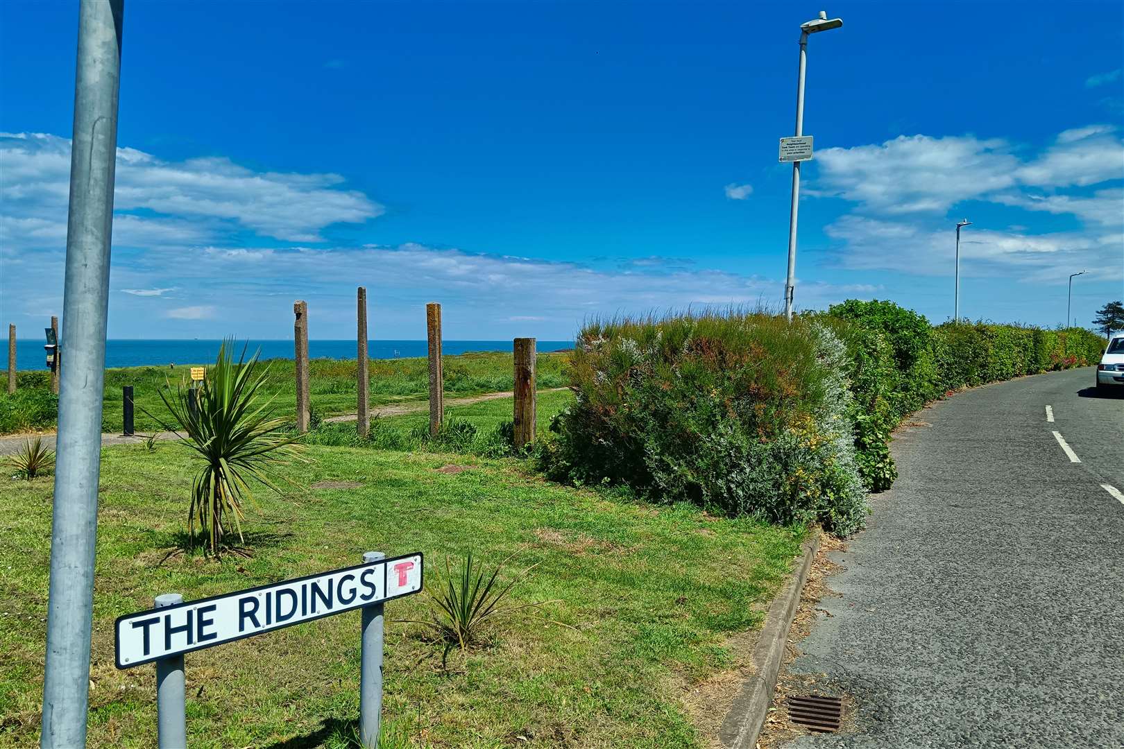 The toxic caterpillars were found at The Ridings, Margate. Picture: Nik Mitchell