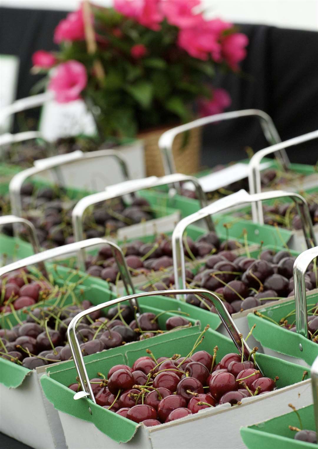 Cherries on display. Picture: Andy Payton