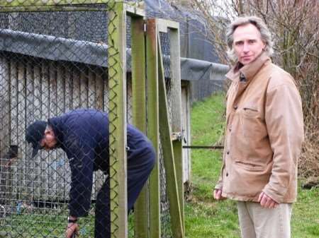 Howletts animal director Neil Spooner stands by as welders replace the dholes' wooden double door system with a new metal one.