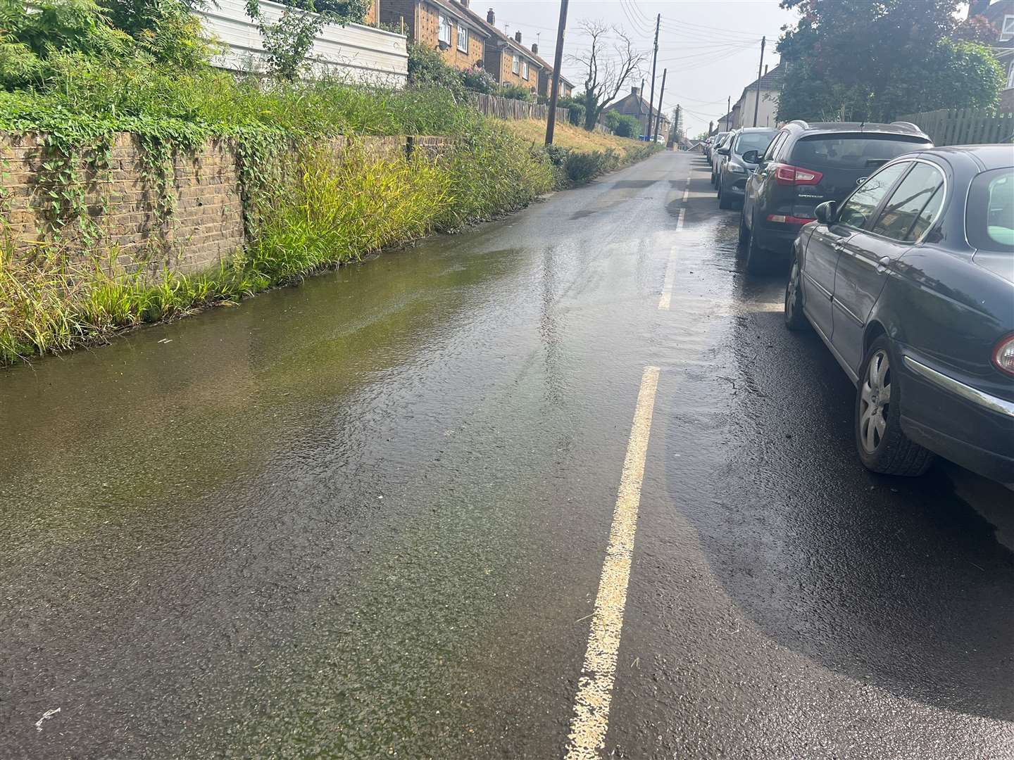 The algae growing along The Crescent from the leak