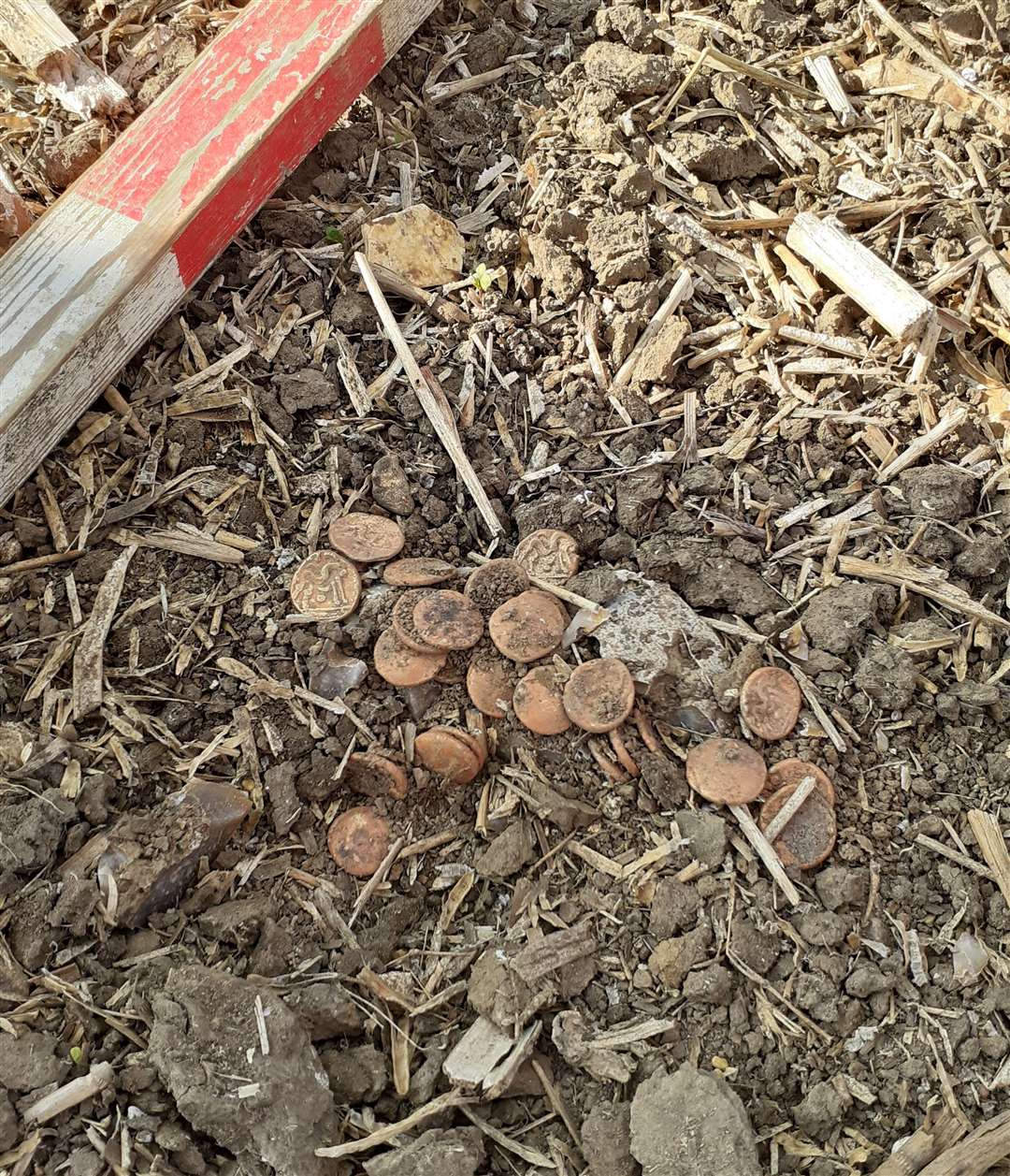 The coins were found in a field that had recently been ploughed. Picture: Tony Asquith