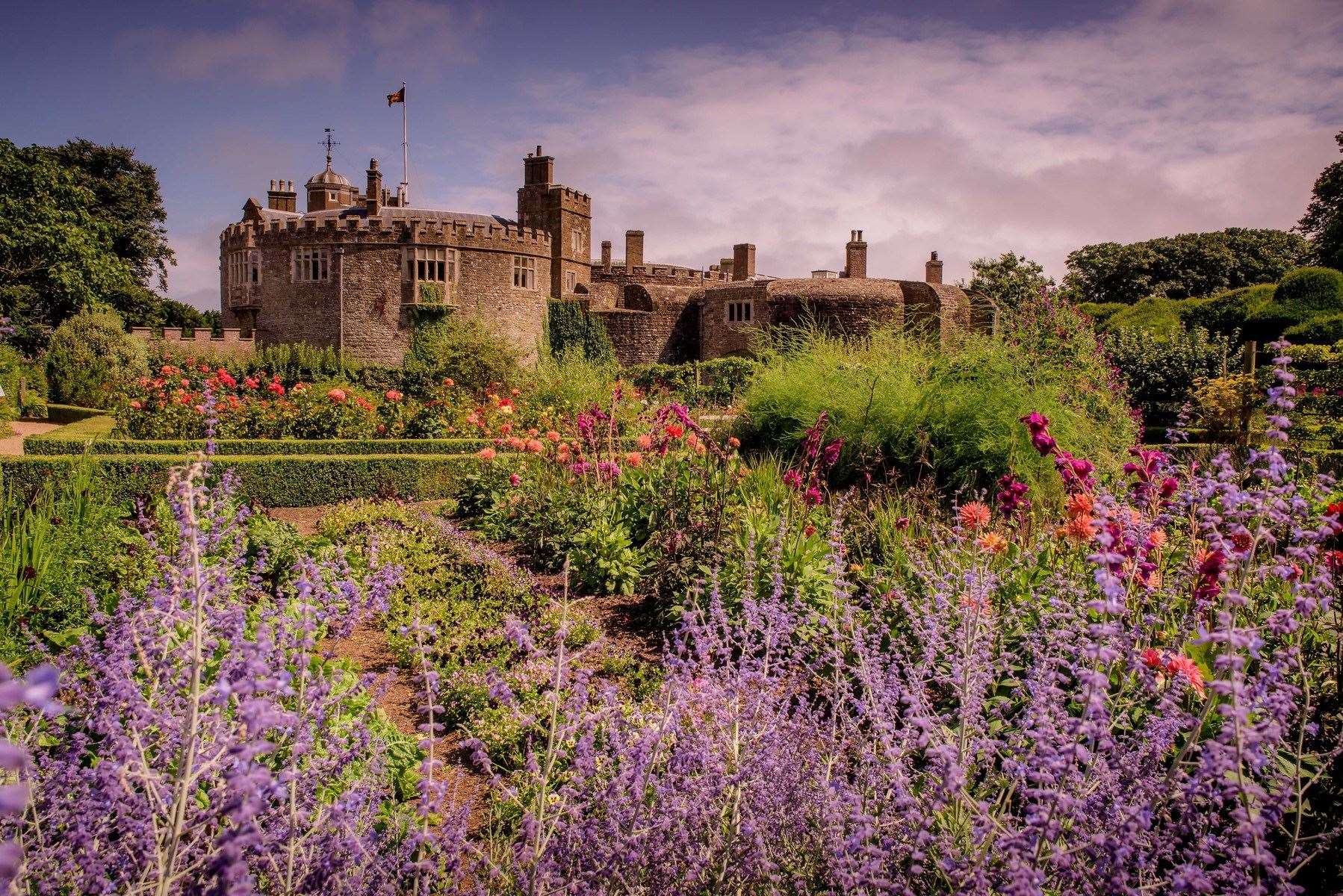 Walmer Castle gardens