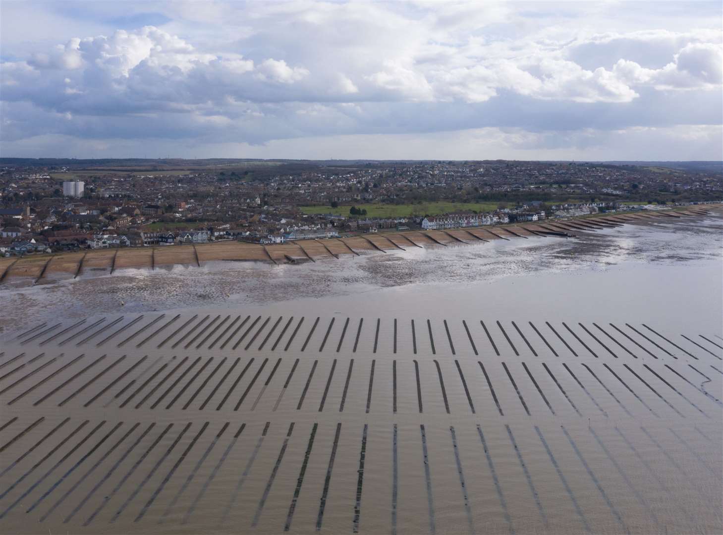 But there was a majority of support in the harbour and Tankerton areasPicture: Whitstable Oyster Company