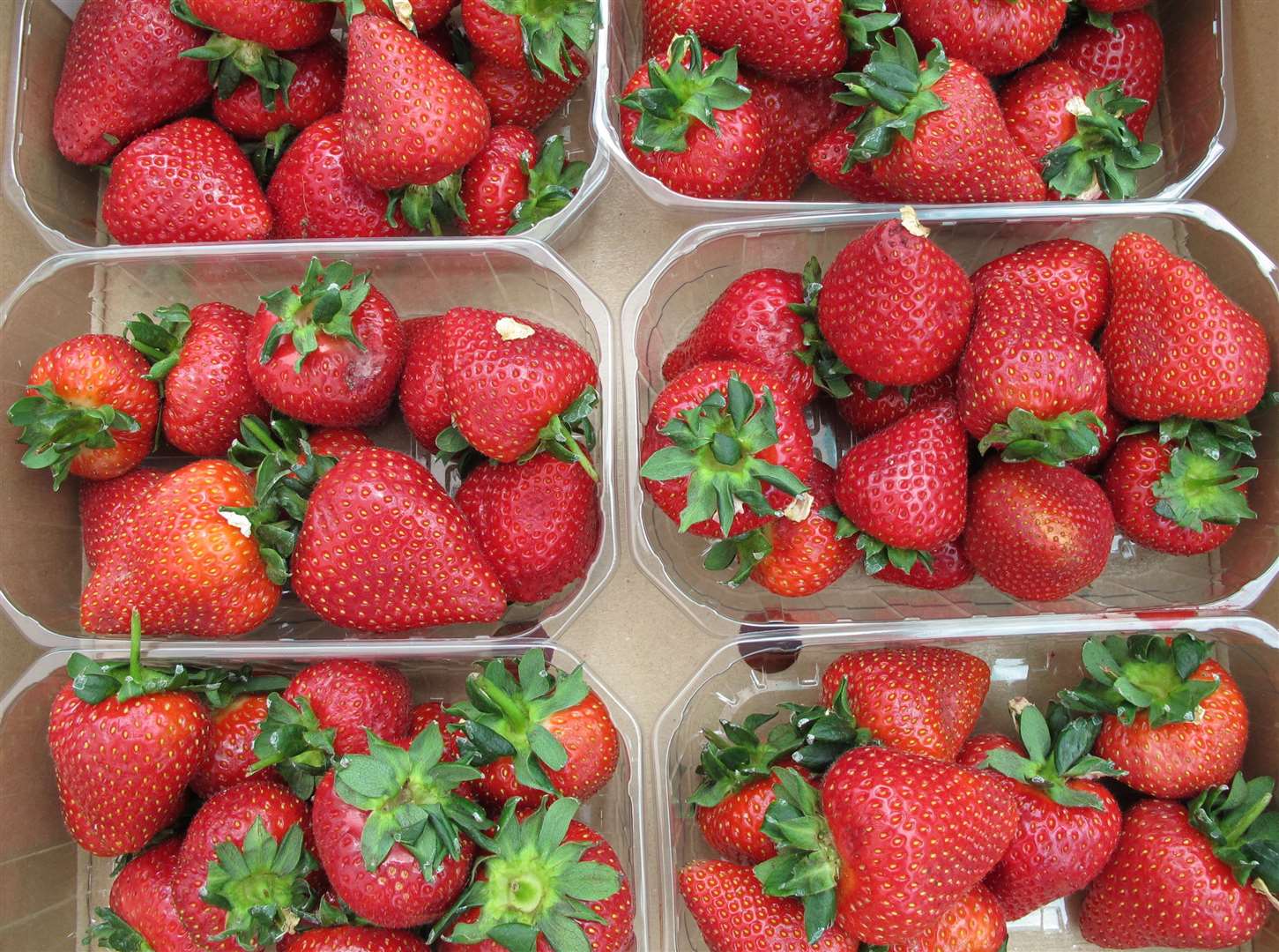 Brogdale's annual Strawberry Fair in Faversham