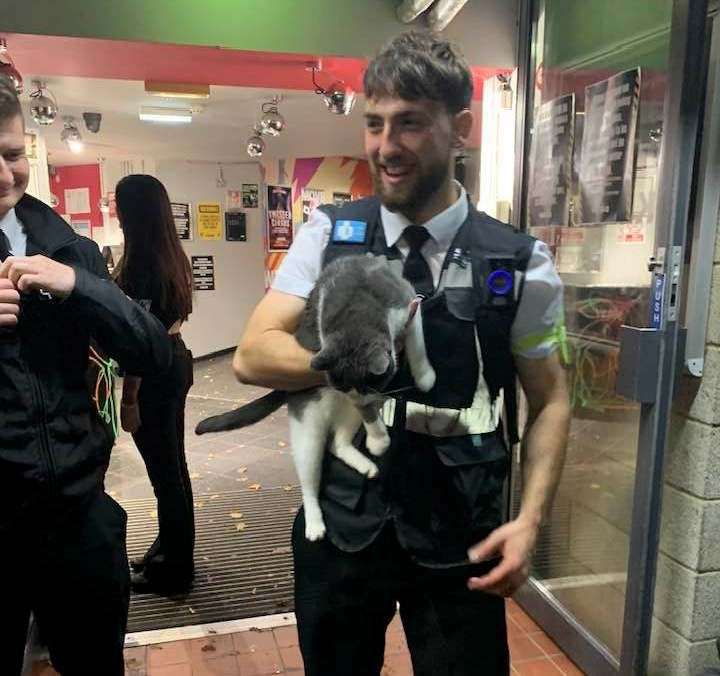 The naughty moggie being thrown out of Venue, the University of Kent's on-campus nightclub. Picture: Kyle Mitchell