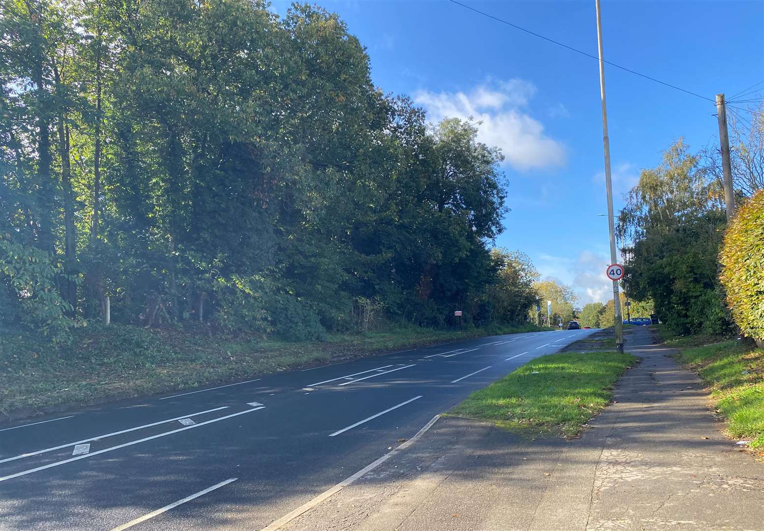 Trees and foliage line the A20 London Road in East Malling