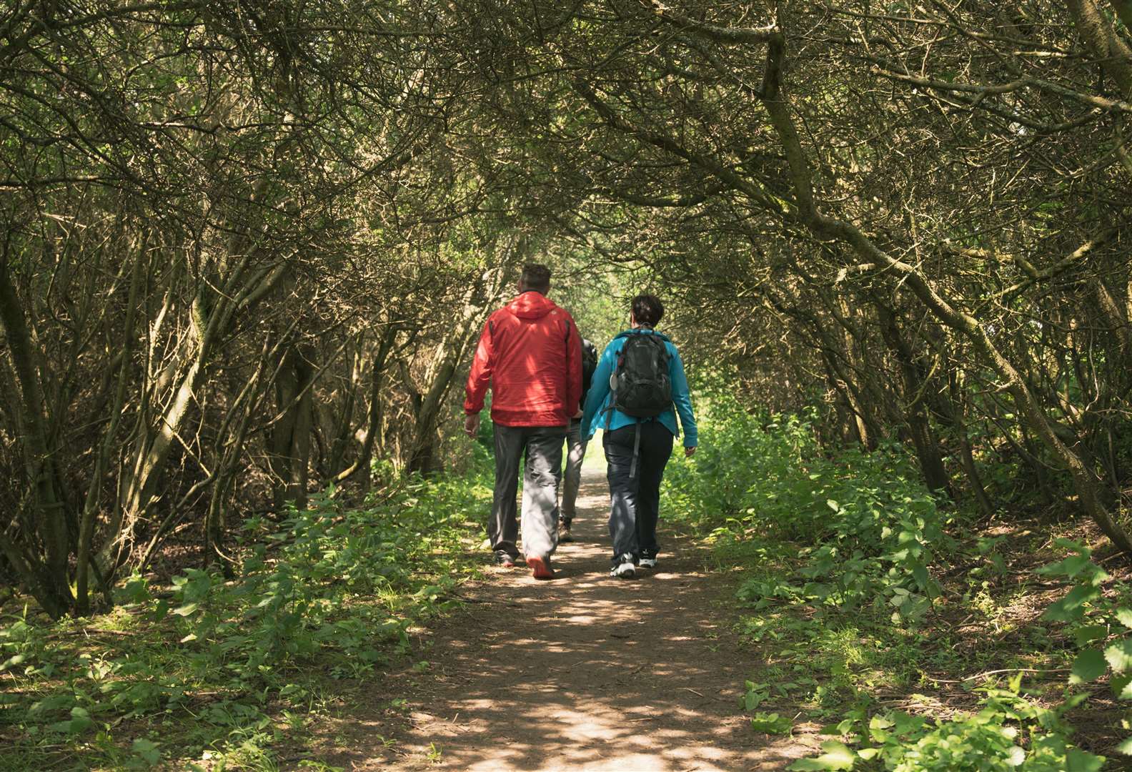 The festival is a celebration of medieval pilgrimages and nature in the beautiful Kent countryside. Picture: Kent Pilgrims Festival