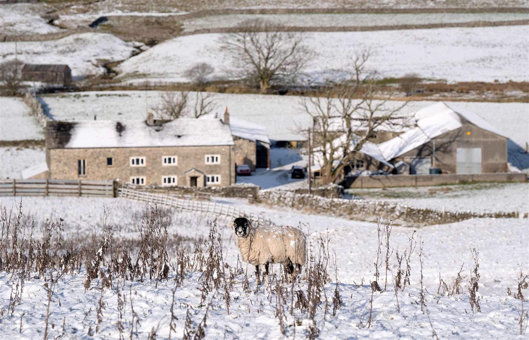 A snow-covered sheep in snow-covered Ribblehead in North Yorkshire (Danny Lawson/PA)