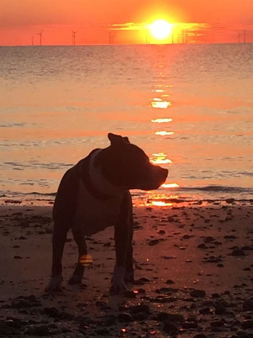 Storm watching the sunrise over Leysdown beach. Picture: Daniel Ward