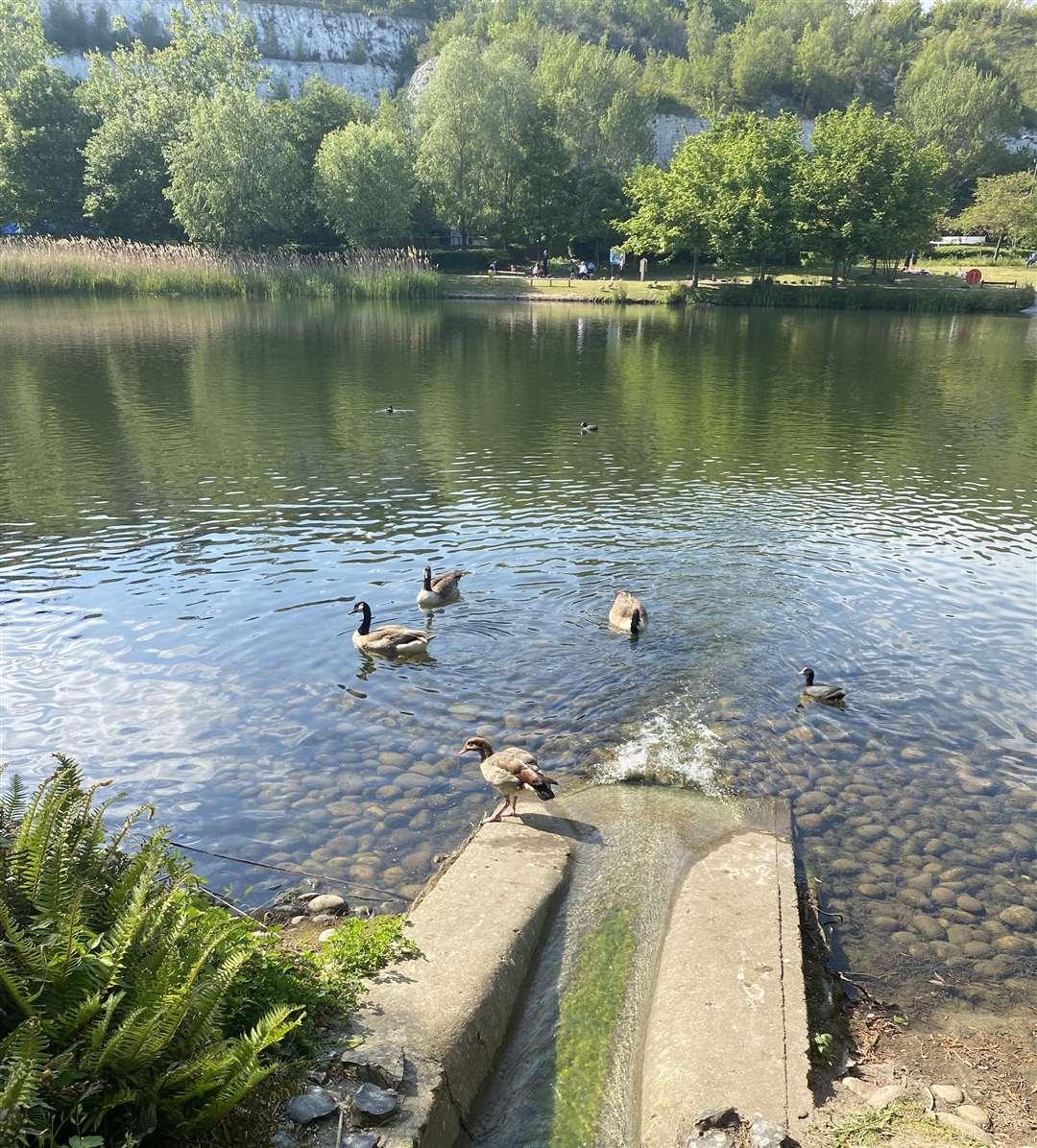 The nature trail and green spaces have been a haven for young families and local residents during lockdown