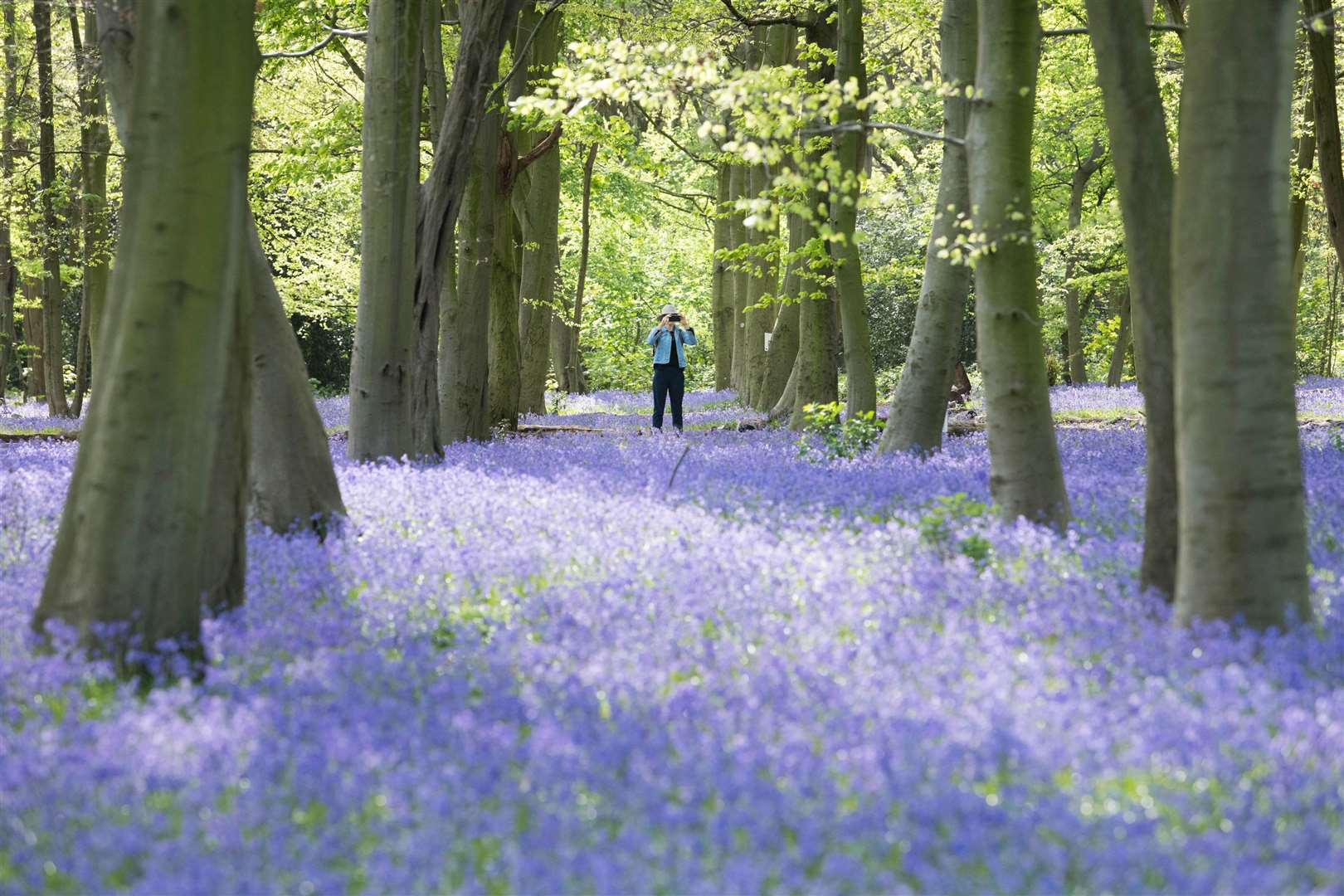 Walkers enjoy the bluebells in Wanstead Park in north east London (Stefan Rousseau/PA)