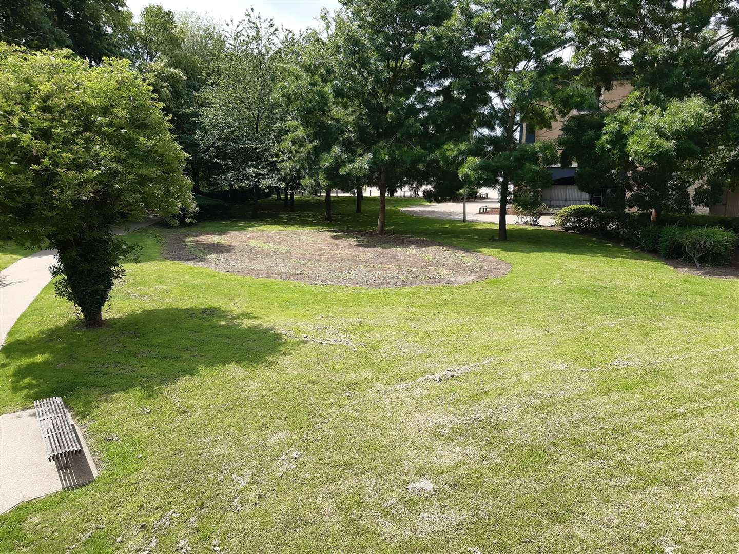 This land is destined to hold the children's woodland play area