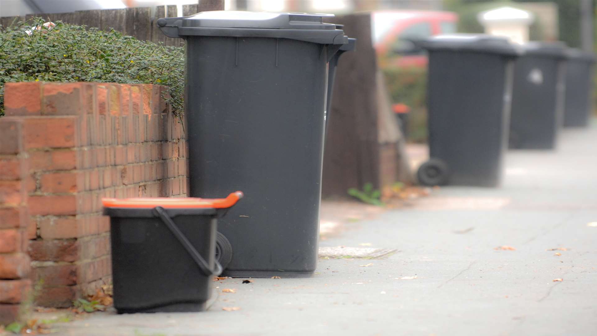 Recycling bins have not been collected this week