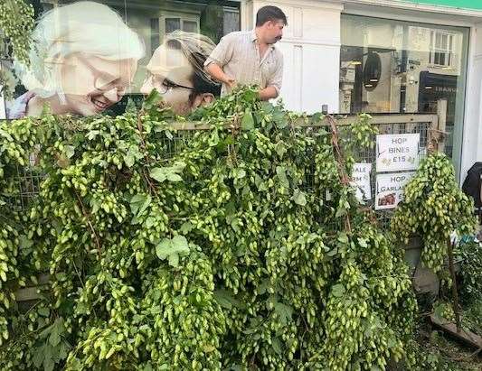 Handling the hops can be a bit tricky but this fellow was clearly an expert