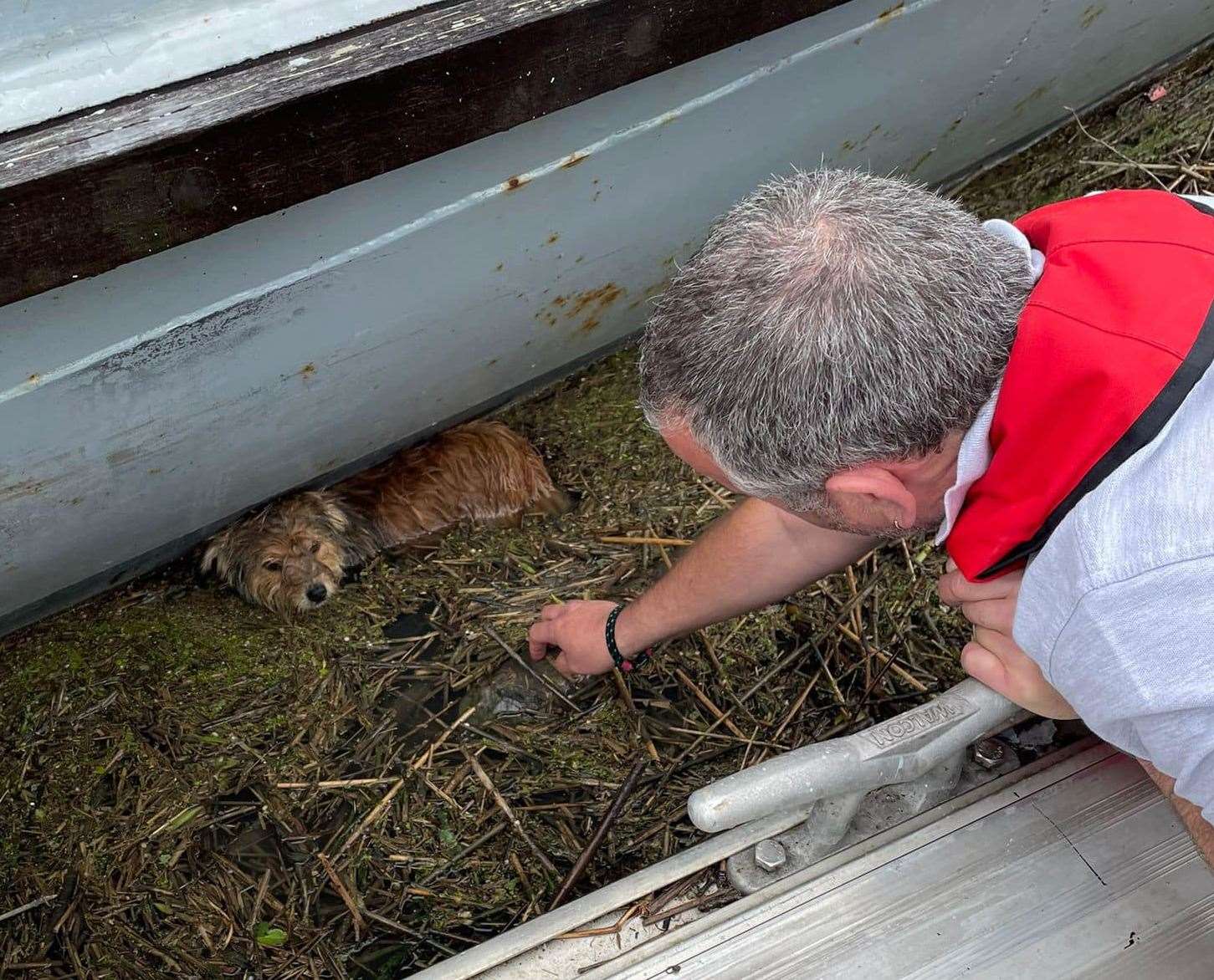 River Runner boat tours skipper Wayne Goldfinch tries to coax the drenched doggie out. Picture: River Runner