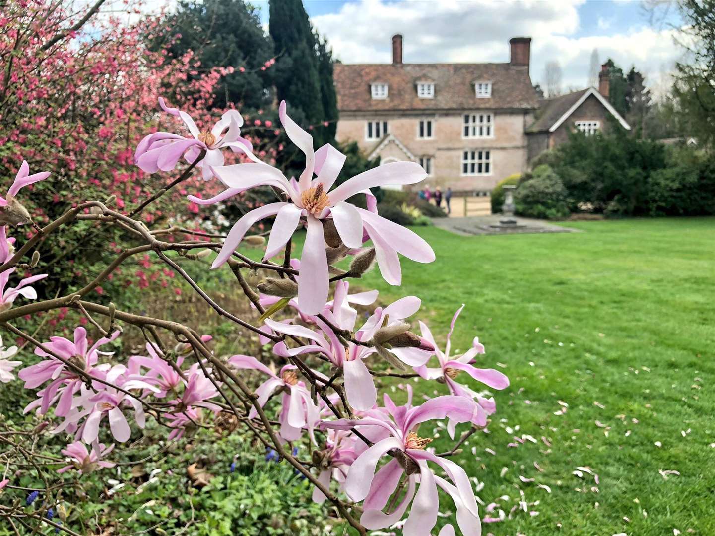 Great Comp Gardens near Borough Green