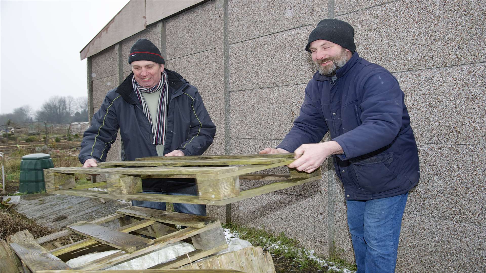 John Bentley, president of the Gillingham Horticultural Society with shed manager Robin Wood moving pallets at the allotments