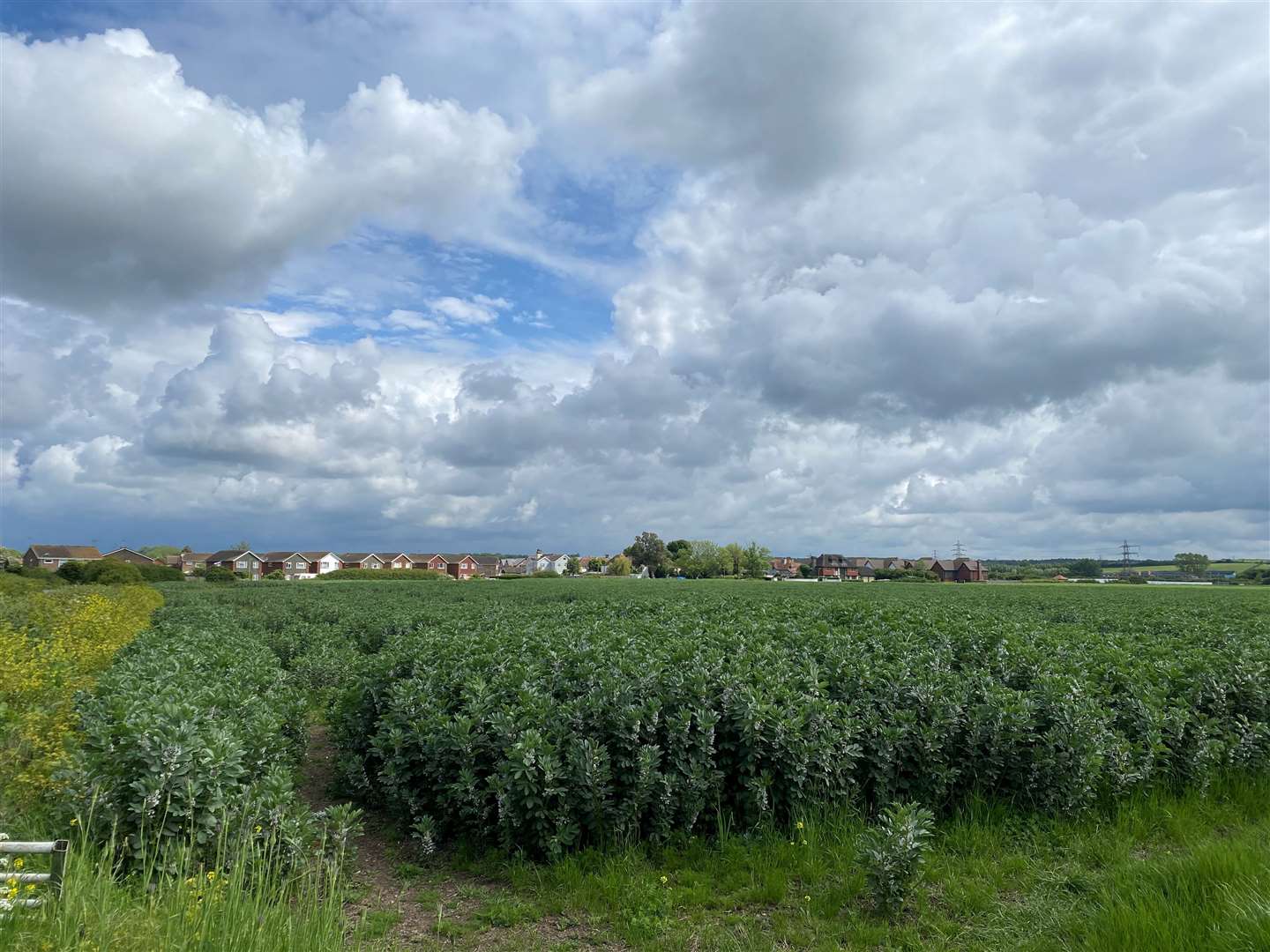 The land neighbouring Thornden Close and Thornden Wood Road will see 150 homes built on it