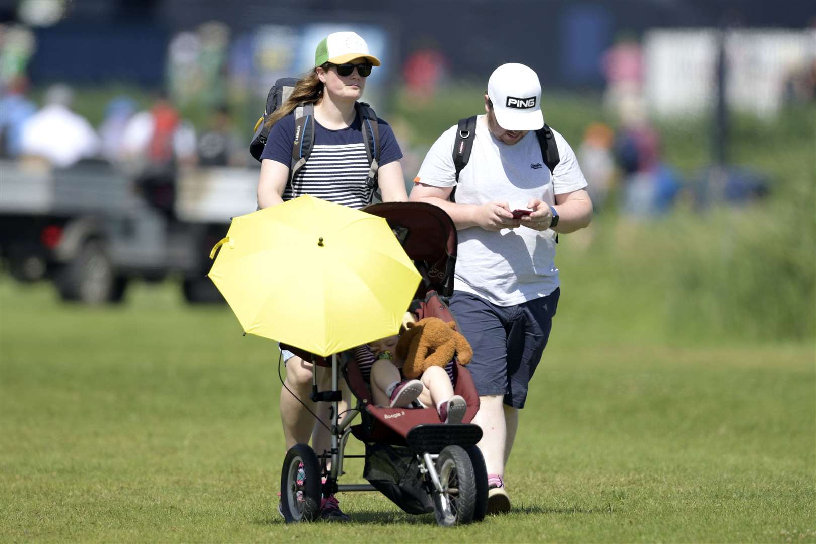 Keeping shade from the sun. Picture: Barry Goodwin (49307732)