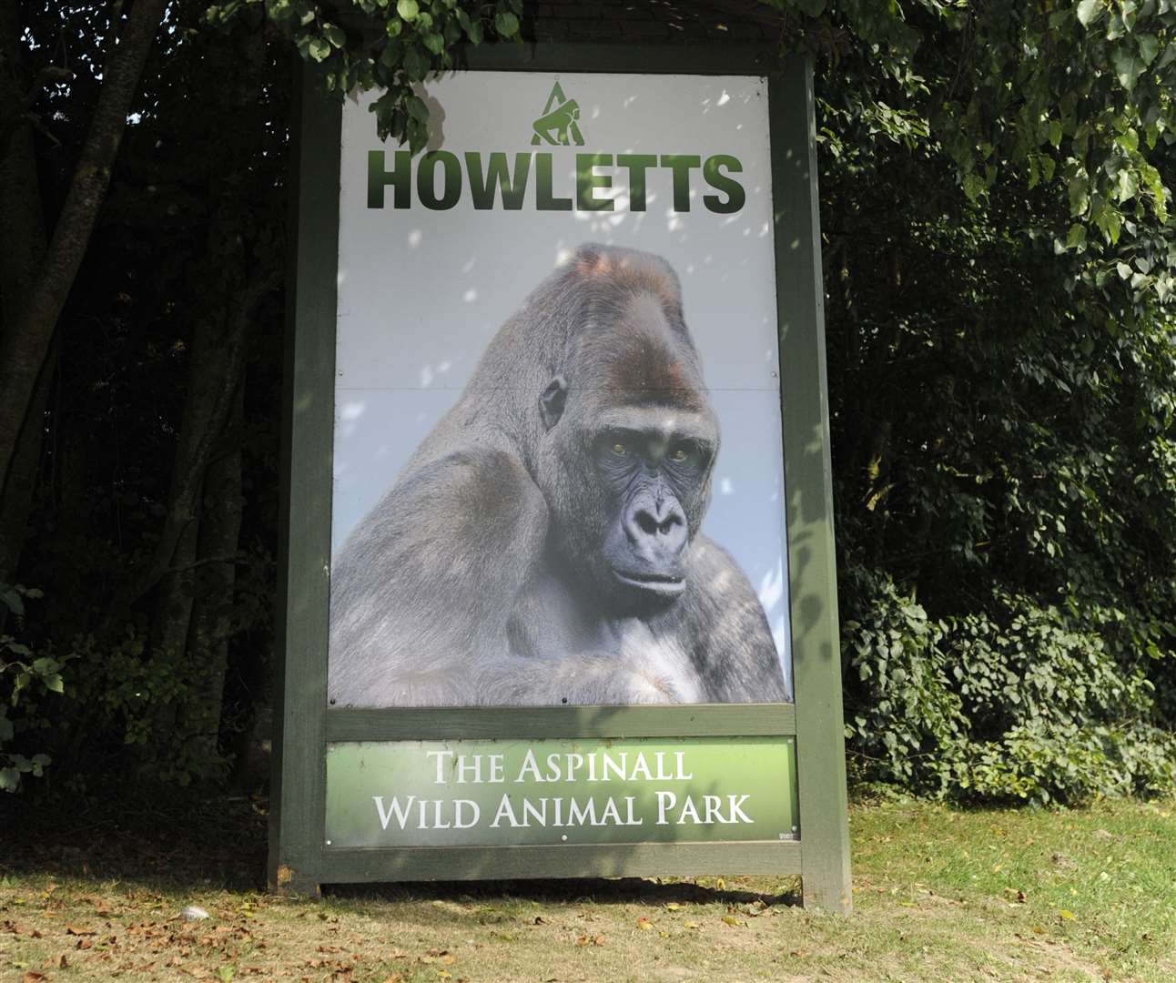 Howletts Wild Animal Park in Bekesbourne