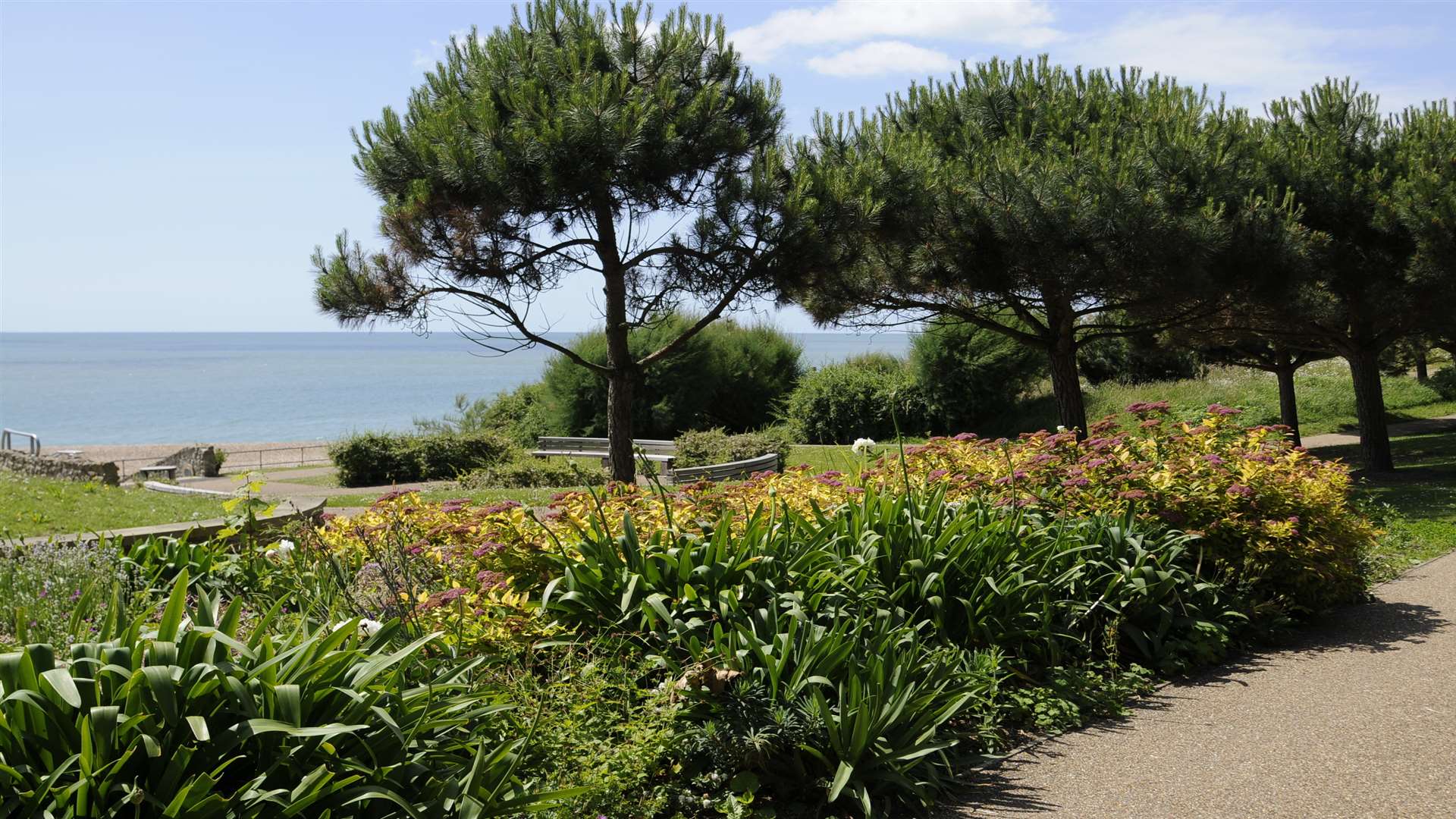 The Lower Leas Coastal Park has won a Trip Advisor award