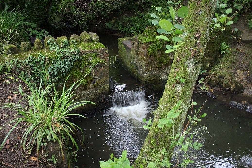 Brockhill was awarded Gold in the South and South East In Bloom awards for its wildflowers and trees. Picture: Kent County Council