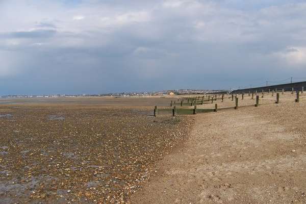 Preston Parade, Seasalter, where the dog was found.