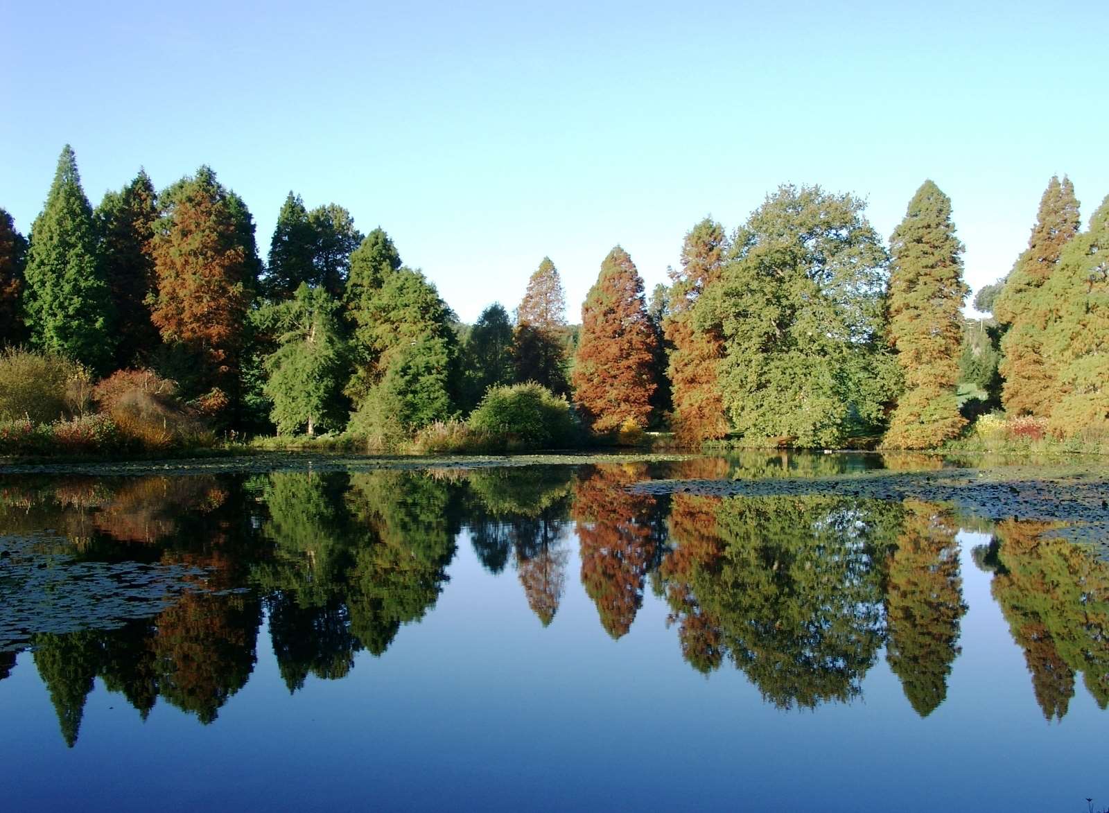 Bedgebury National Pinetum and Forest