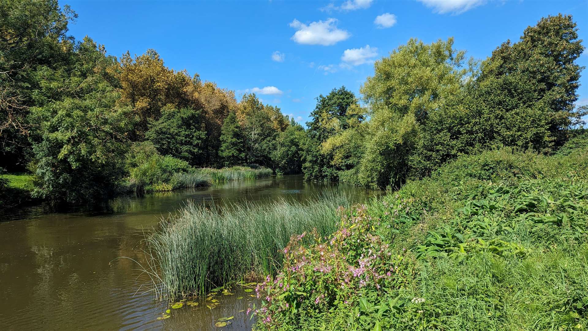 The River Medway makes for a perfect picturesque stroll