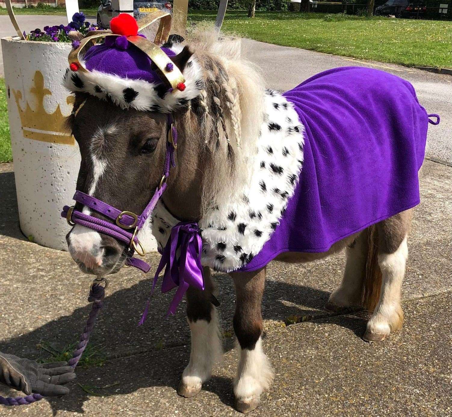 She is bringing smiles to people’s faces. Picture: Nicky Tucker