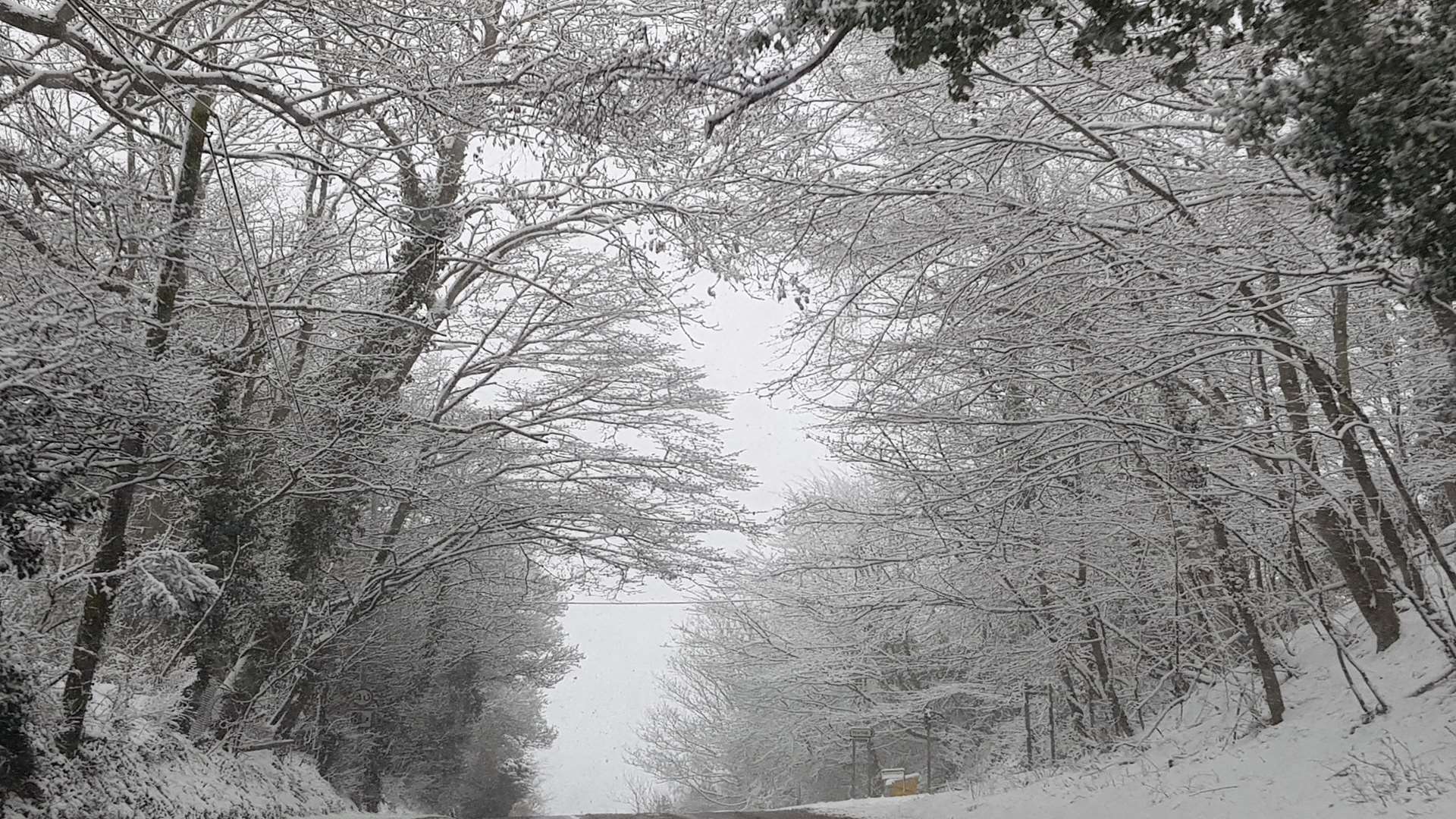 Newington in the snow. Picture: Lang David