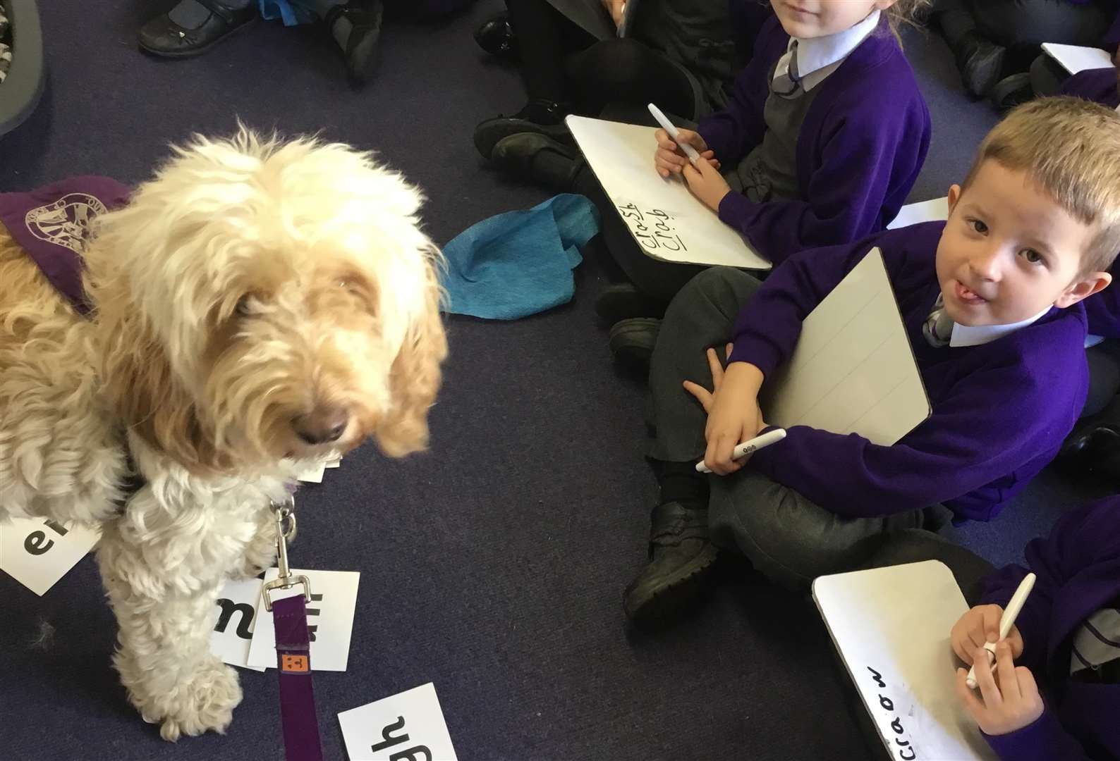 Whitby helping out in a phonics lesson