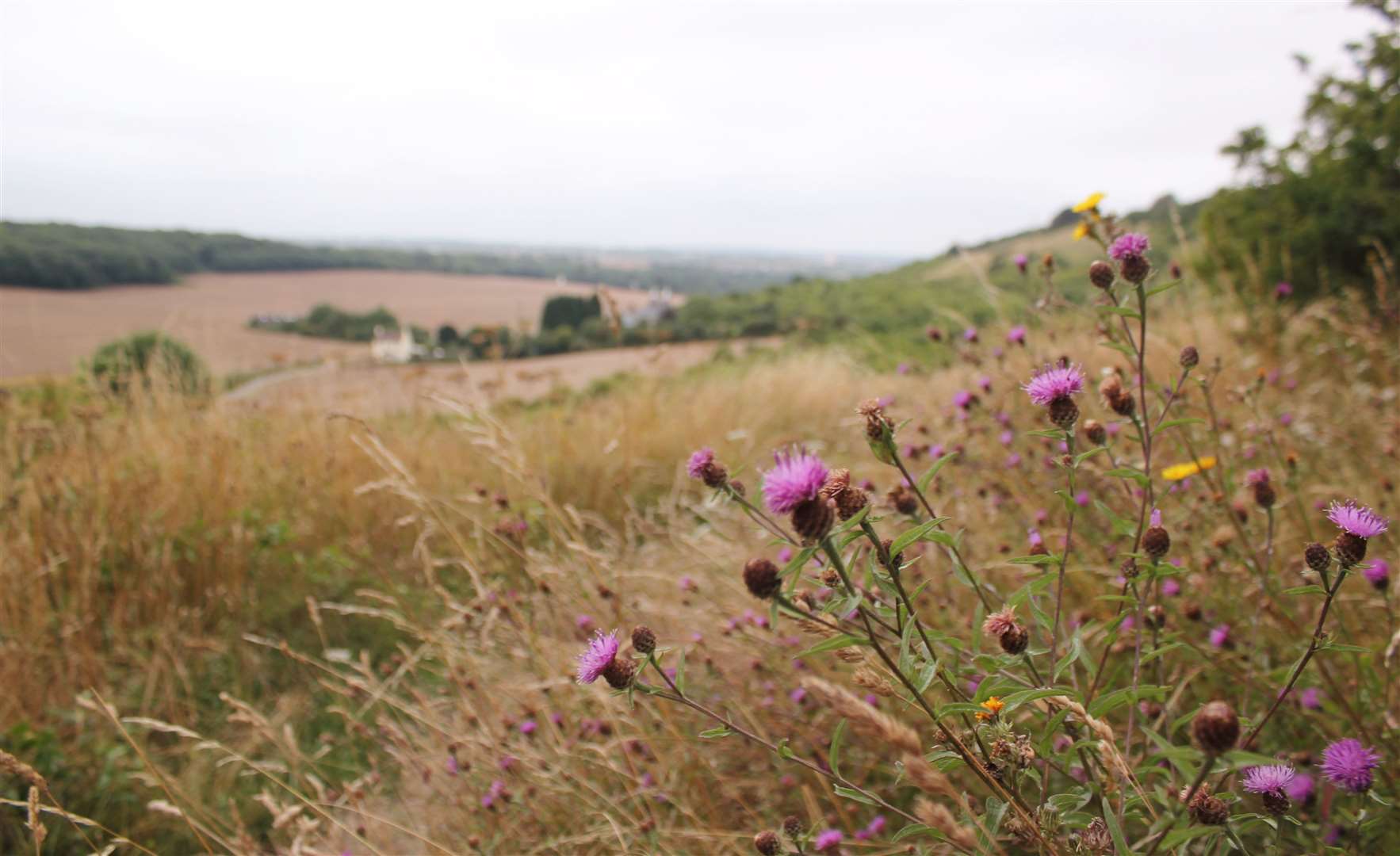 Darland Banks. Picture: Claire Colston