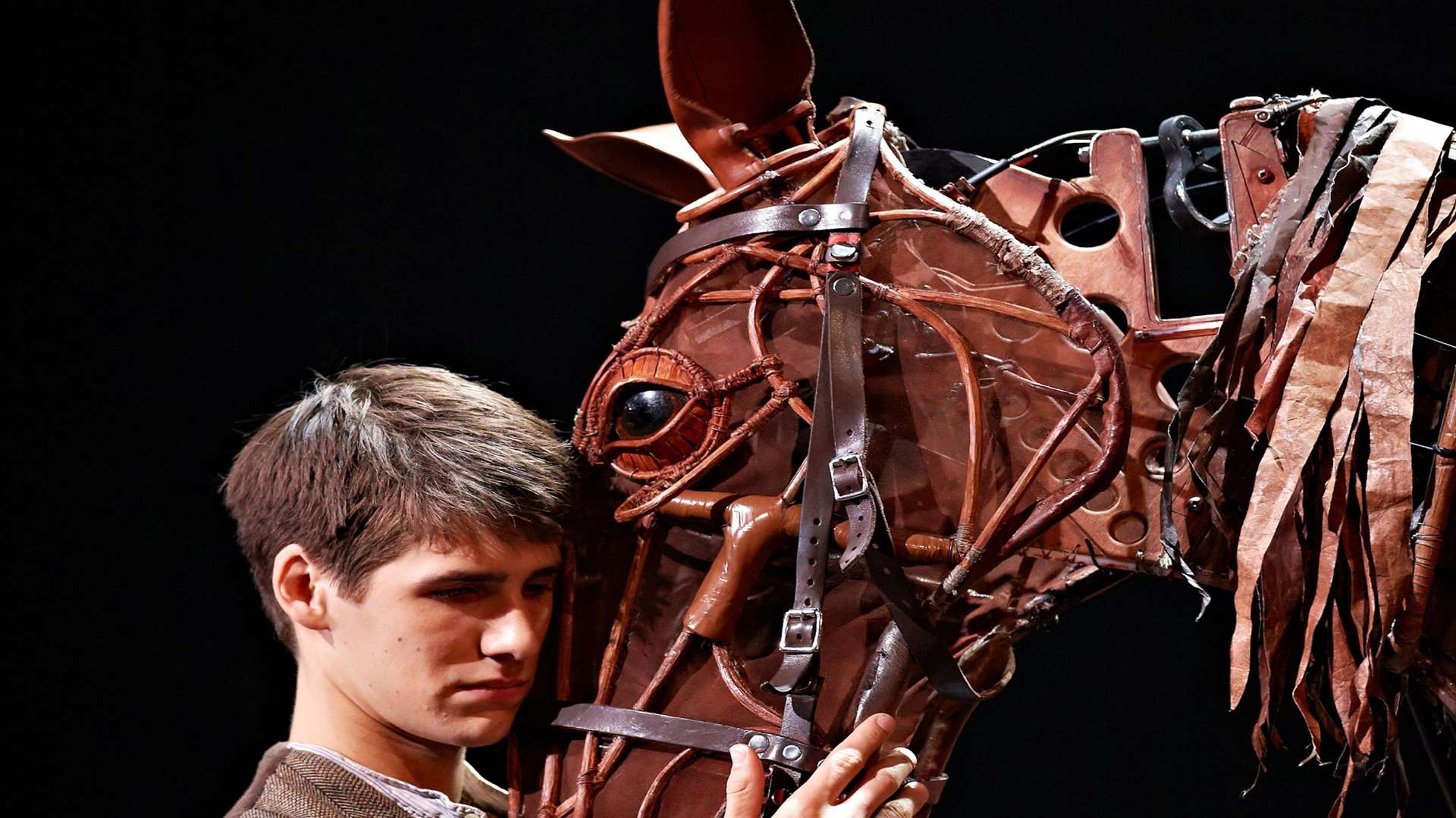 War Horse