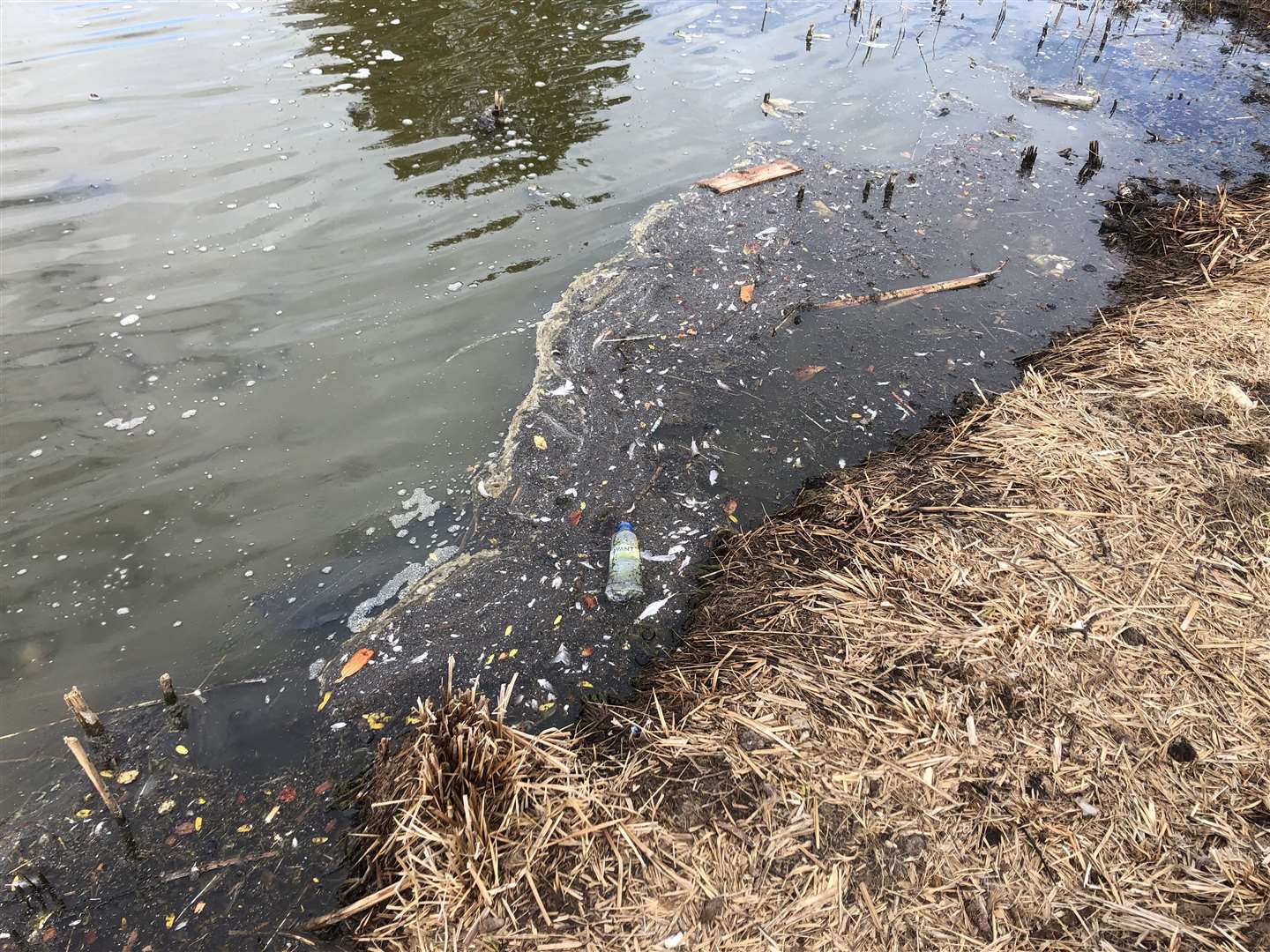 The lake may look grubby but it is not dangerous