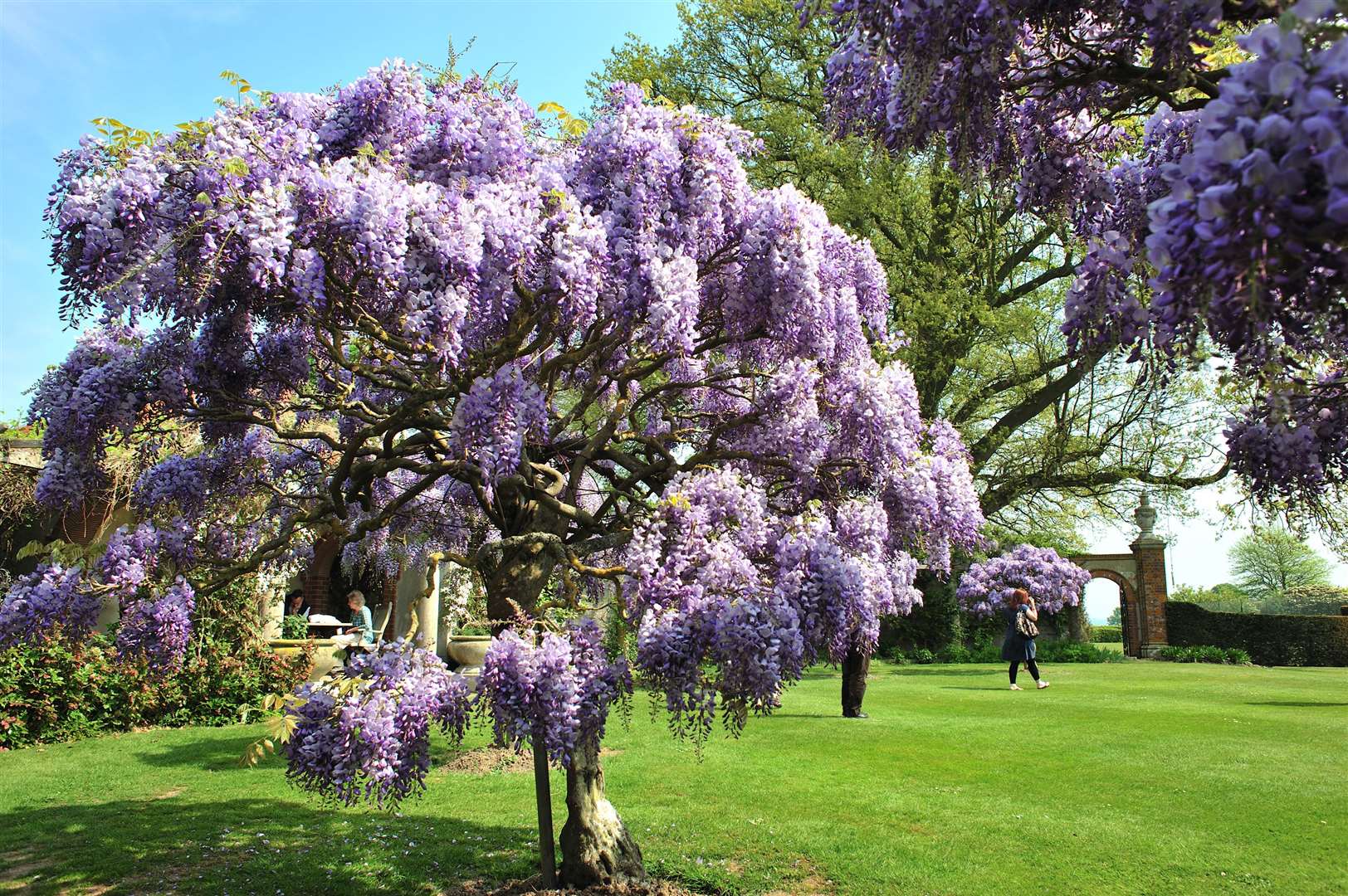 Hole Park Gardens near Rolvenden