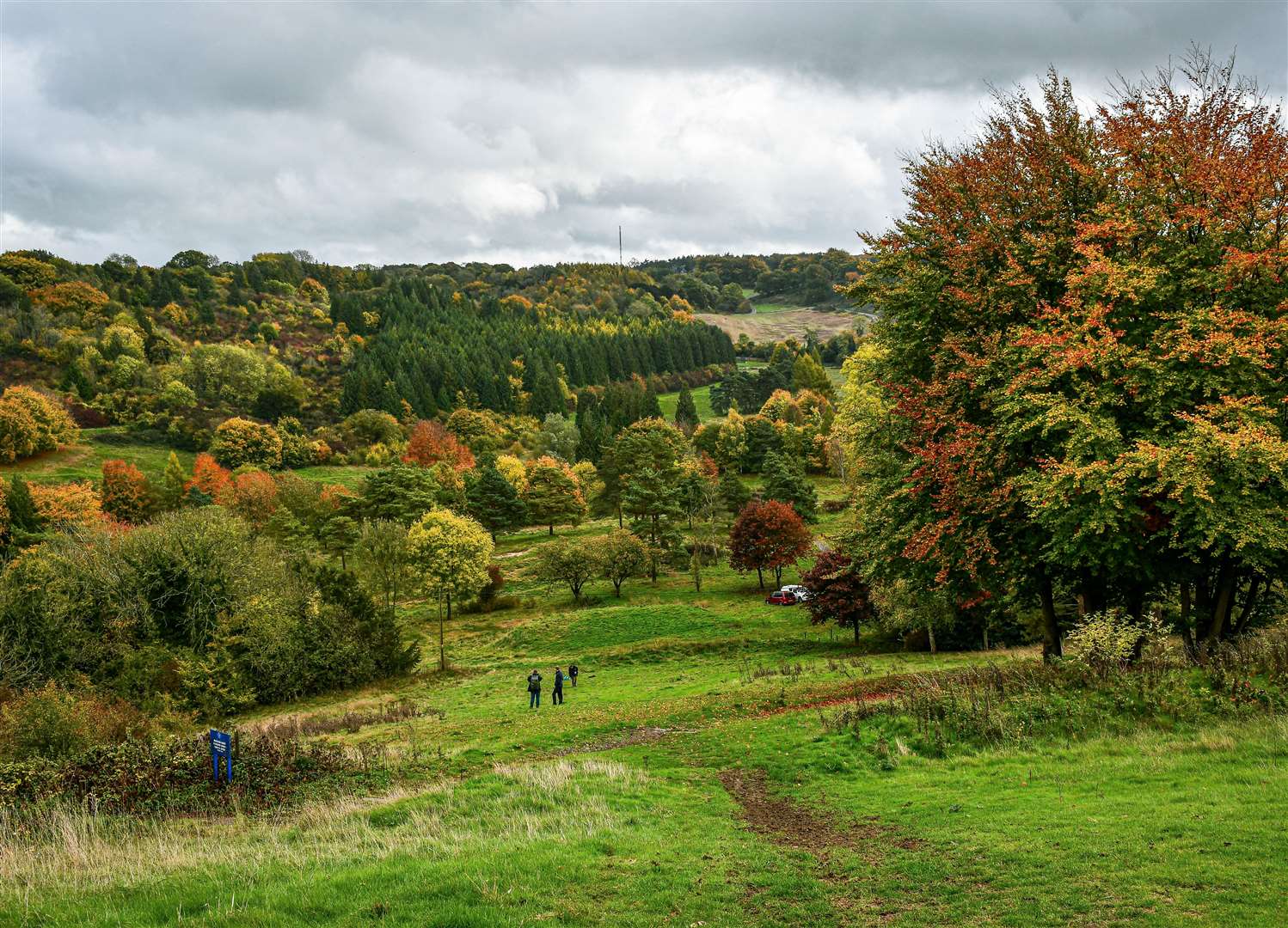 Heather Corrie Vale Golf Course has been transformed into a wildlife haven to help businesses safeguard nature. Picture: Kent Wildlife Trust